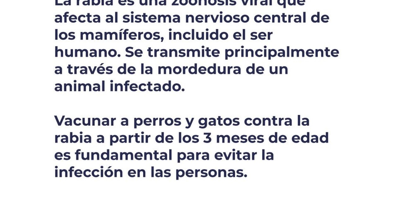 ANLIS Malbrán trabaja en diagnóstico, vigilancia, investigación y vacunación contra la rabia